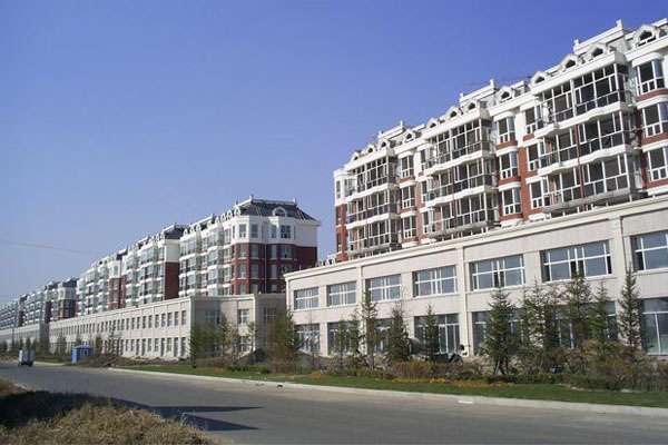 projectCase_shandong1